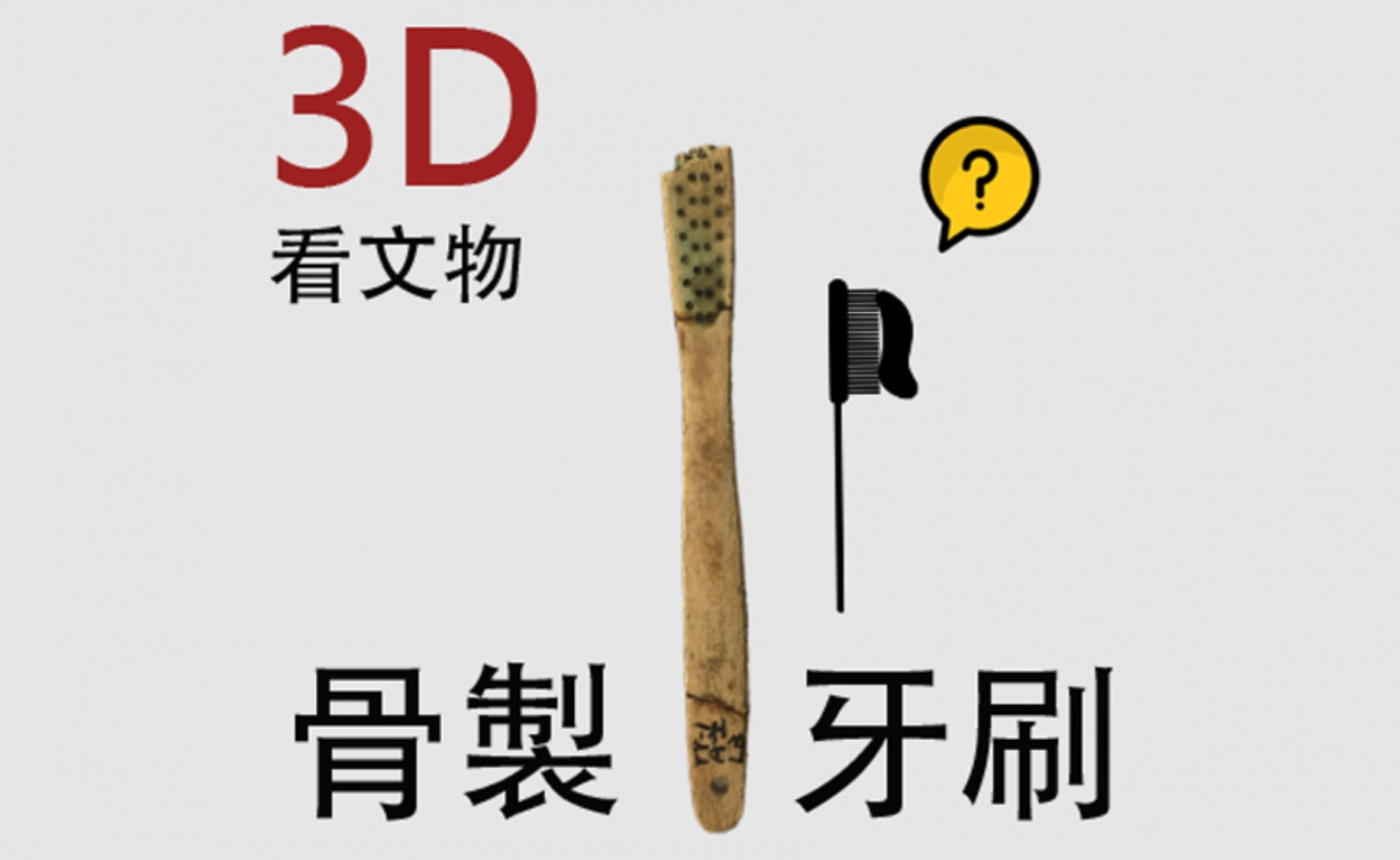 【3D看文物】1_骨牙刷