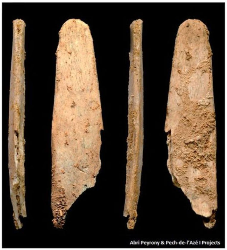 【歐洲考古現場】尼安德塔人的100%原創骨器