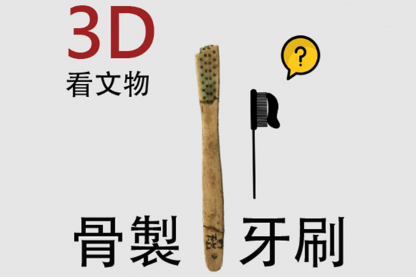 【3D看文物】1_骨牙刷