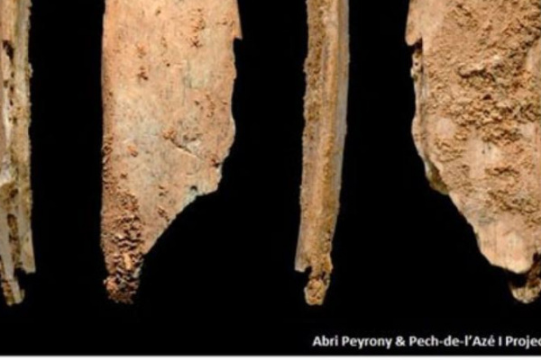 【歐洲考古現場】尼安德塔人的100%原創骨器